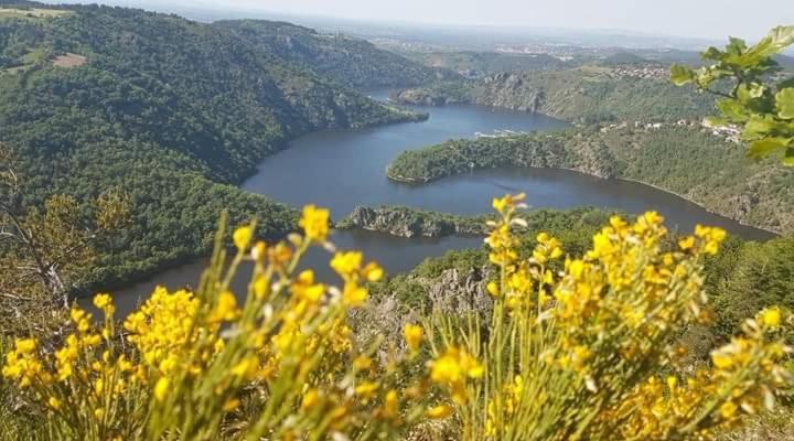 La Fortance Paradis Naturel - Proche De La Ville Planfoy Ngoại thất bức ảnh