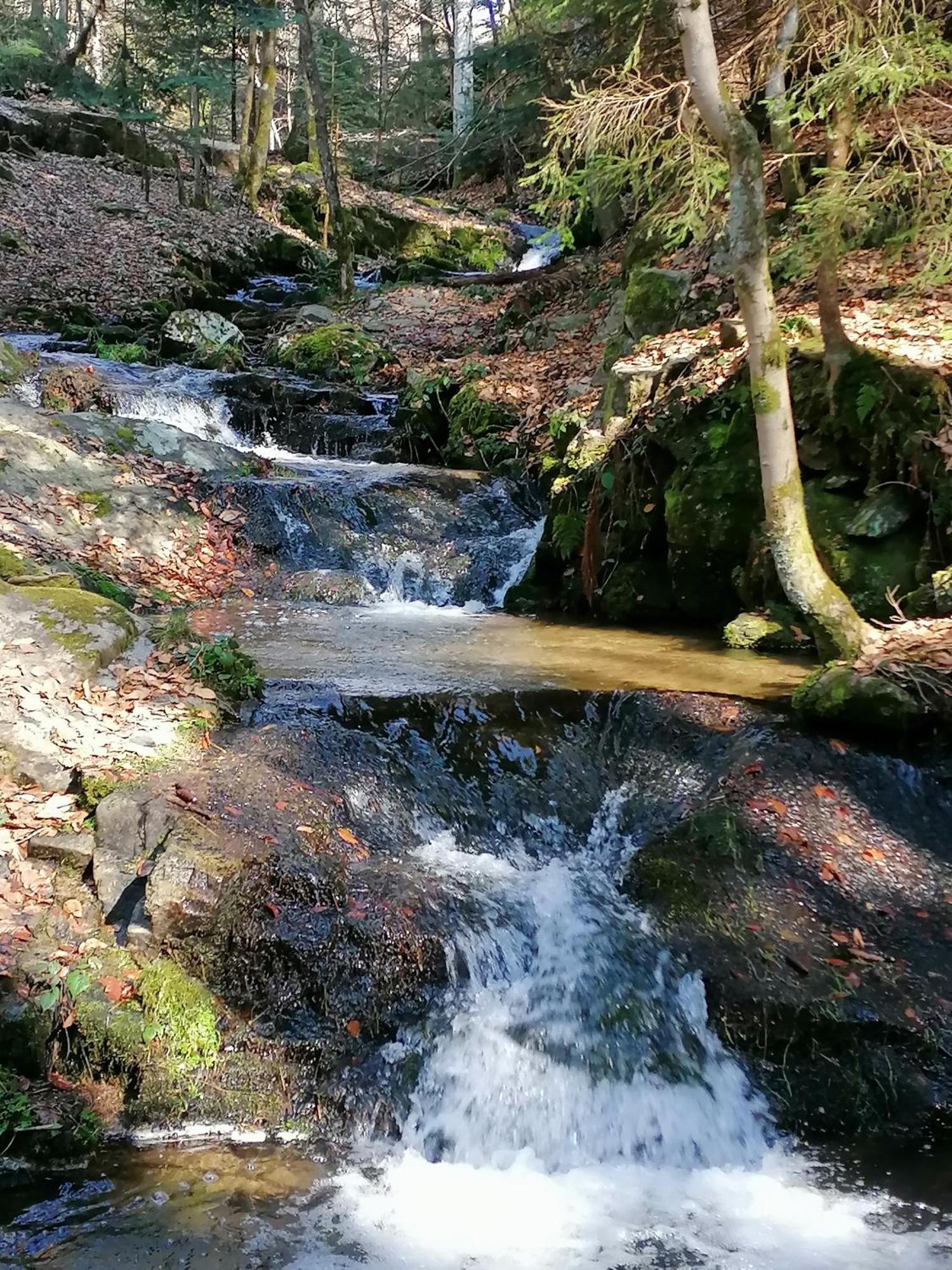 La Fortance Paradis Naturel - Proche De La Ville Planfoy Ngoại thất bức ảnh