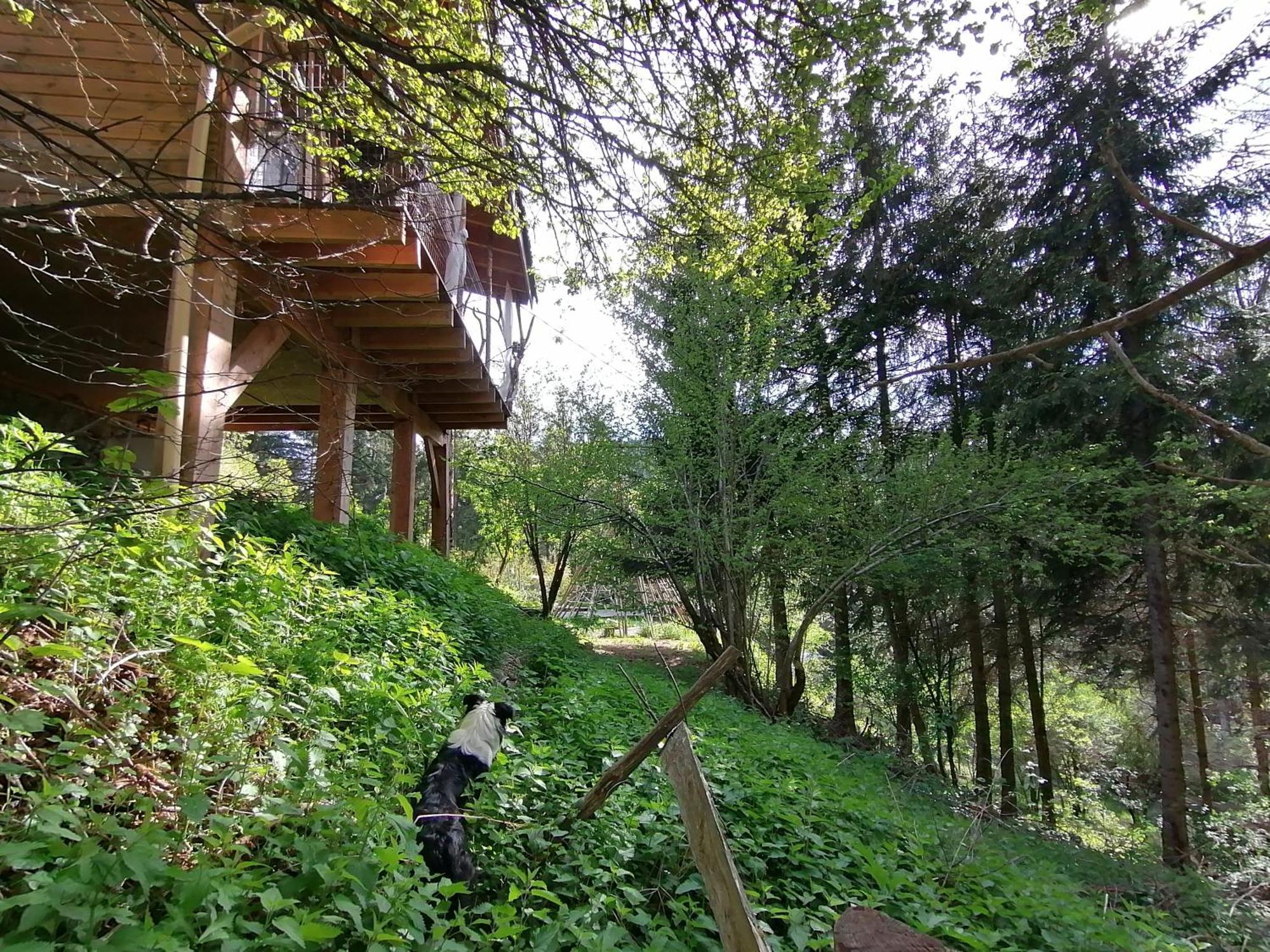 La Fortance Paradis Naturel - Proche De La Ville Planfoy Phòng bức ảnh