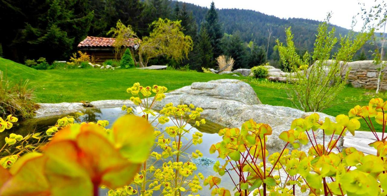 La Fortance Paradis Naturel - Proche De La Ville Planfoy Ngoại thất bức ảnh