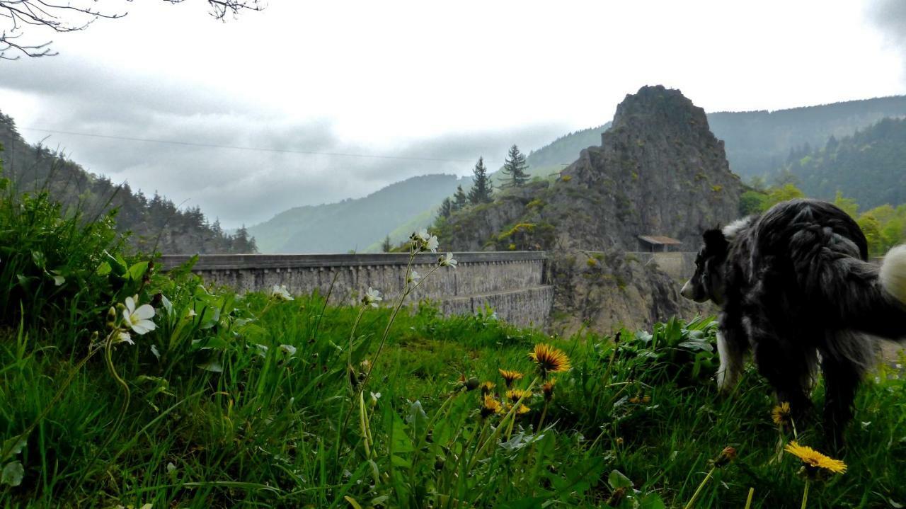 La Fortance Paradis Naturel - Proche De La Ville Planfoy Ngoại thất bức ảnh